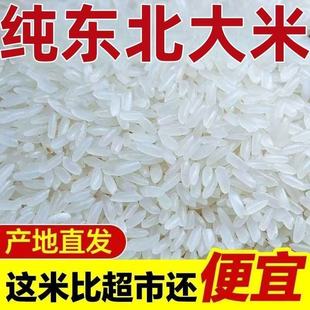 【新米】正宗东北稻香新大米5斤10斤20斤厂家直供批发便宜低价