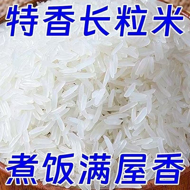 新米5斤正宗猫牙米长粒香米晚稻丝苗米煲仔蛋炒饭超长2.5KG大米
