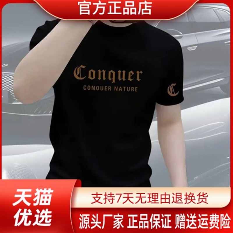 白丽纱轻奢T恤男圆领宽松透气夏季休闲运动百搭潮流半袖短袖L