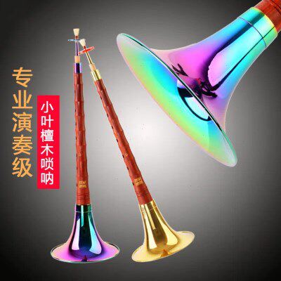 王家彪非洲小叶檀血檀木唢呐乐器初学者全套D调降B调专业喇叭小号