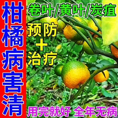 柑橘黄化病溃疡病黄龙病专用药