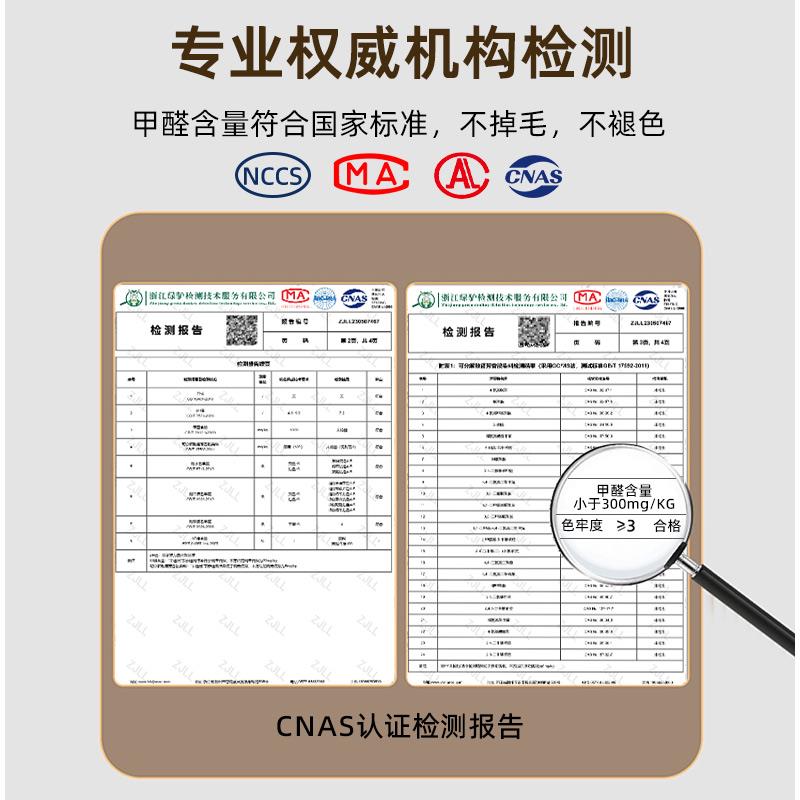 客厅地毯主卧室床边毯2024新款免洗可擦房间高级全铺大面积地垫子
