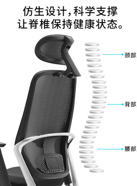 奥卡姆拉冈村体工学电脑椅舒适久坐办公椅靠背