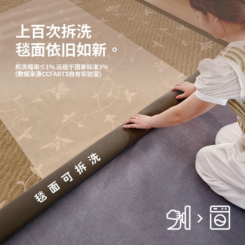 仿麻编织款】CCFRT蝴蝶夫人中古风客厅可机洗可拆洗层地毯