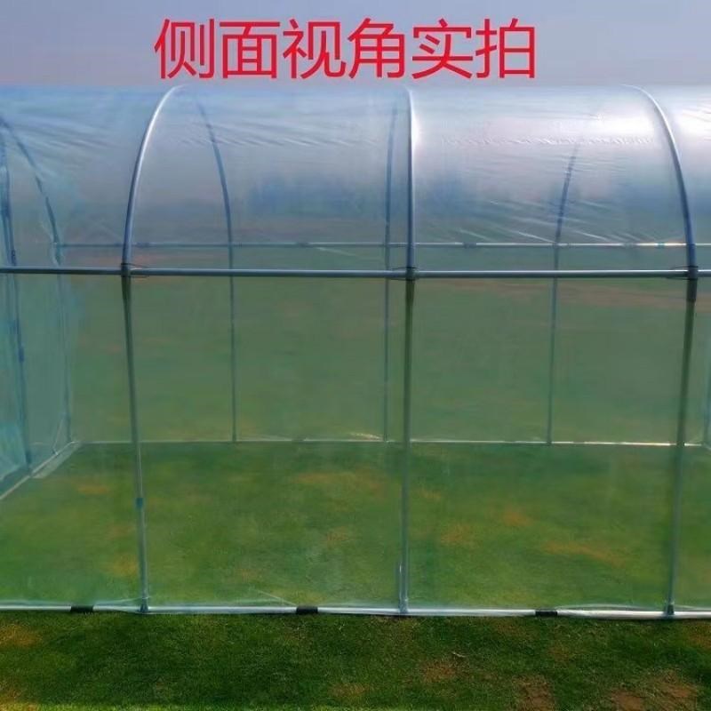 家用冬天保暖棚防过冬季花棚家庭大棚温室花房暖房保温棚植物