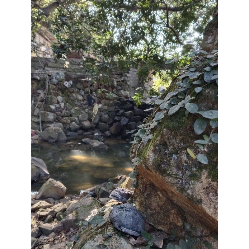 石头钥匙收纳盒创意门口摆件玄关花盘茶几家居钥匙防丢器隐蔽收藏