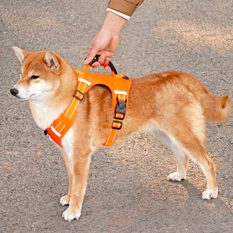 狗狗牵引绳夜间反光中大型犬防爆冲柴犬柯基小狗遛狗绳宠物胸背带