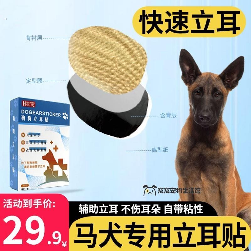 马犬专用狗狗耳朵立耳神器狗竖耳辅助器立耳珠小狗耳朵夹子立耳夹