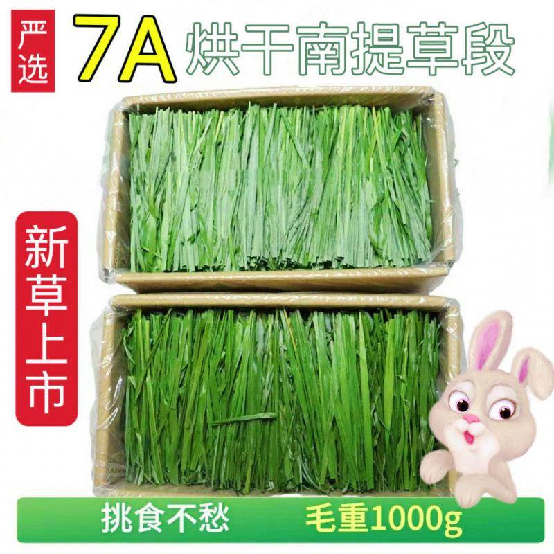 提摩西干草23提摩西草烘干晒干段叶幼兔子草北提猪豚鼠牧草新鲜新