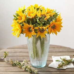 复古玻璃花瓶大号轻奢高级感摆件客厅插花鲜花创意装饰透明水养