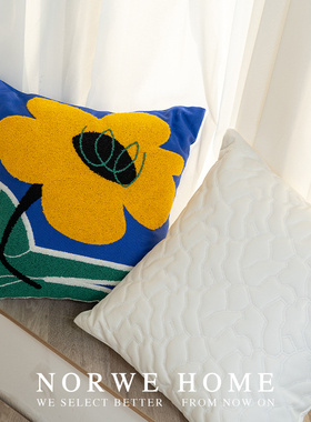 抱枕北欧风花朵可爱女生抱枕套蓝色系新品客厅沙发靠枕背床头靠垫