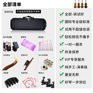 畅想五弦小提琴弦小提琴欧料独板拼板实木小提琴巴洛克初学者