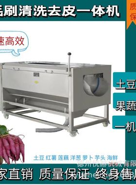 土豆脱皮机商用多功能毛刷清洗去皮机大型莲藕萝卜生蚝清洗机设备
