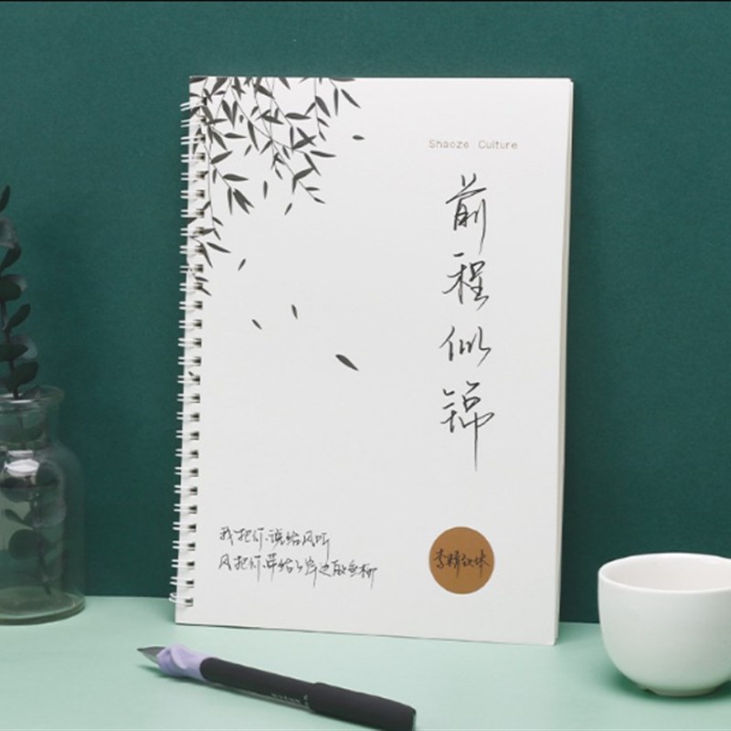 新款行书字帖成年人男女生漂亮字体霸大气硬笔连体行草书法练字帖