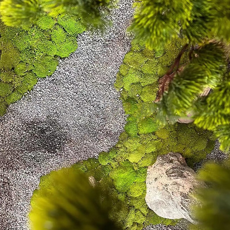 精品松树迎客松仿真树罗汉松装饰摆件室内外大型景观假树绿植造景