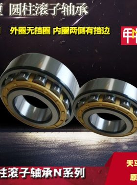 圆柱滚子轴承N 212 213 214 215 216 217 218 219 220 221 222 EM