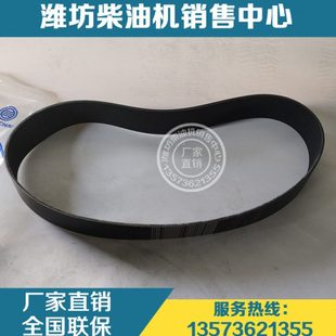 潍柴博杜安6M26 12M33柴油发动机15PK1205皮带1000692871多楔带
