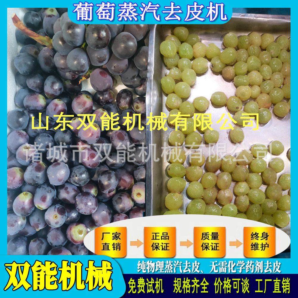 蒸汽去皮机葡萄不伤果肉脱皮果酒罐头原料全自动果蔬去皮设备