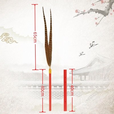 祭孔(祭祀炎帝)大典八(六)佾舞翟籥道具祭礼乐舞文舞生佾生手羽