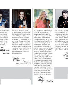 奥地利原装homi  DOMINN多米南特小提琴弦弦