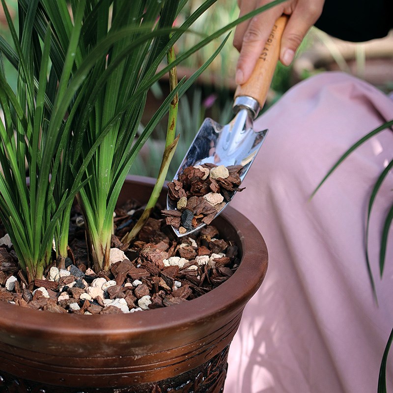 思威博兰花专用土养花植料兰花土种植透气蝴蝶兰石斛大颗粒松树皮