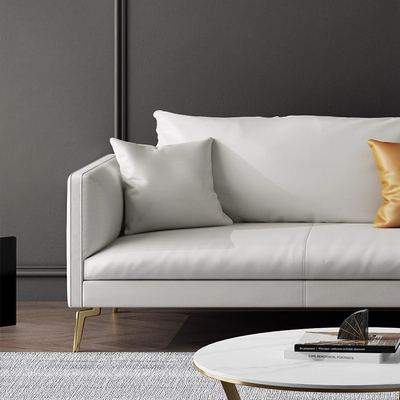 沙发头层牛皮意式小户型现代客厅三人位直排防猫爪布意式