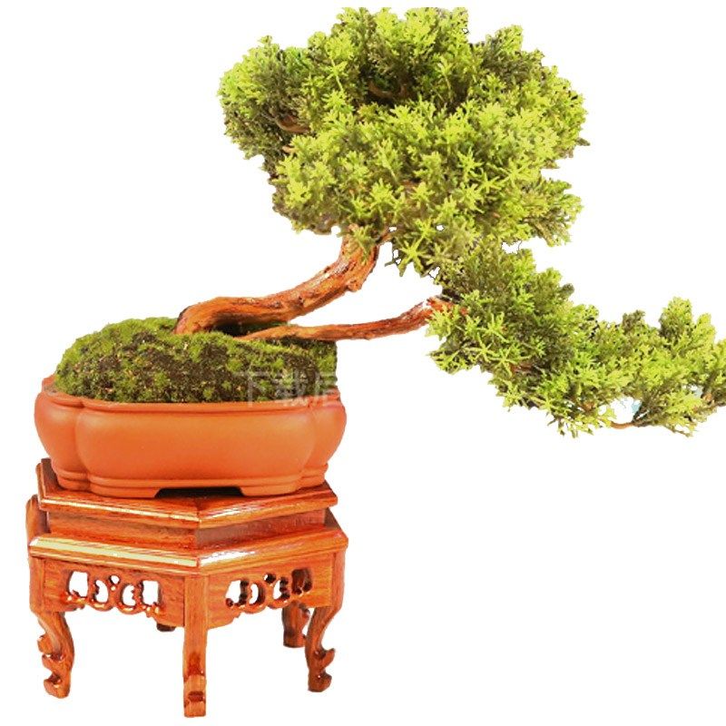 新仿真迎客松盆景沙发餐桌架玄关角几茶台家居酒店,家居饰品,装饰摆件,淘宝优惠券,粉丝福利购,淘宝优惠卷