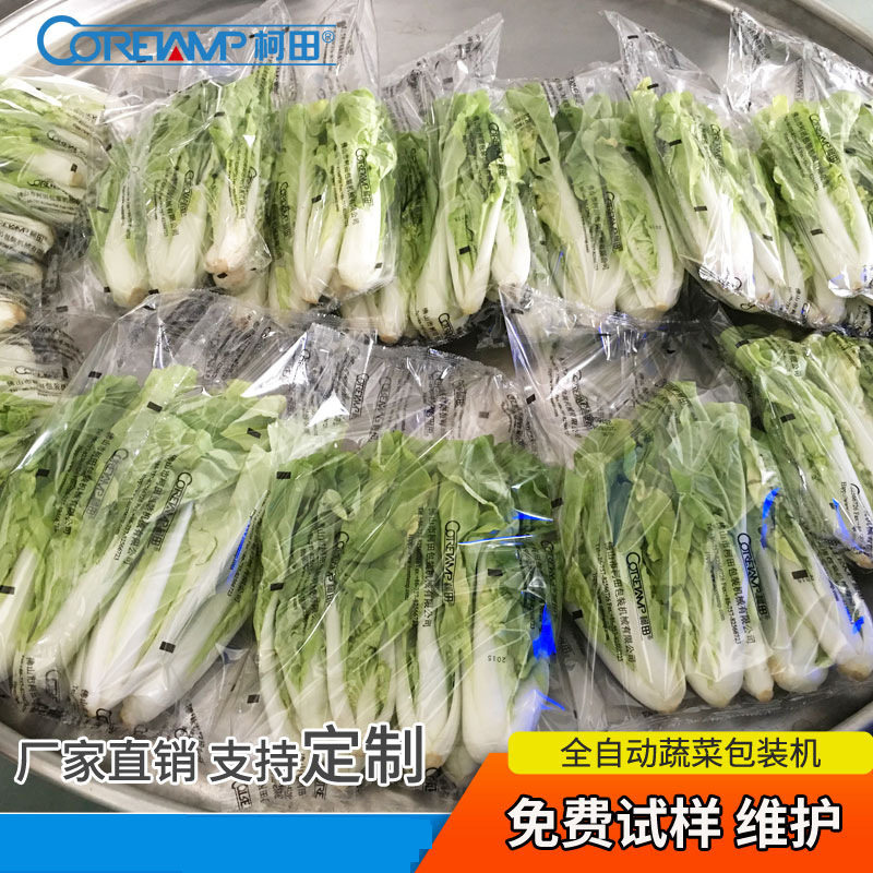 柯田厂家机械 全自动蔬菜装机全自动 蔬菜保鲜袋装装机,机械设备,其他机械设备,淘宝优惠券,粉丝福利购,淘宝优惠卷
