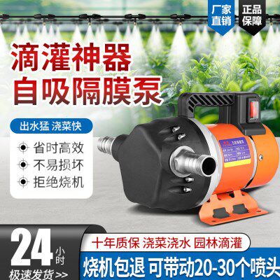 浇菜神器浇水机农用灌溉抽水机浇地淋菜滴灌家用大功率自吸隔膜泵