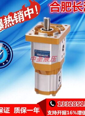 合肥长源齿轮油泵CBQT-F540/F425 F540/F432 F550/F410 F550/F416