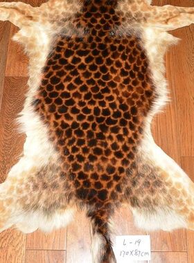 仿豹纹真毛皮褥子L19酒吧酒店会所样板间动物招财壁毯挂毯装饰