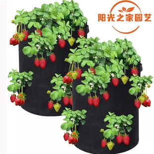 草莓种植袋加厚无纺布美植袋植树袋家庭阳台种菜袋育苗袋多肉花盆