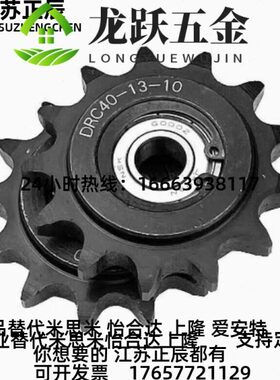 2A惰轮链R轮 两边凸台涨轮带轴1承DC60-11齿13齿14齿 6紧分链条