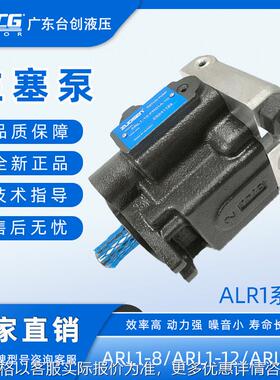 ARL1系列柱塞泵ARL1-12-FR01S-10/ARL1-8机械工程用