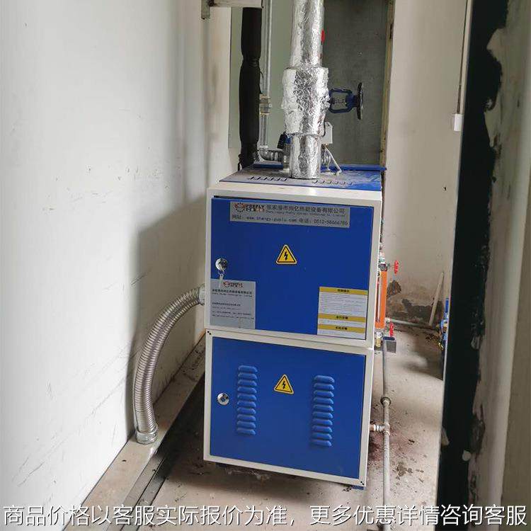 纯蒸汽发生器冬季桥梁养护设备 养护机 蒸汽发生器养护设备