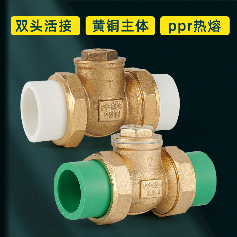 止回阀卧式热熔20PPR双活接逆止自来水管水表25单向阀32铜4分6分