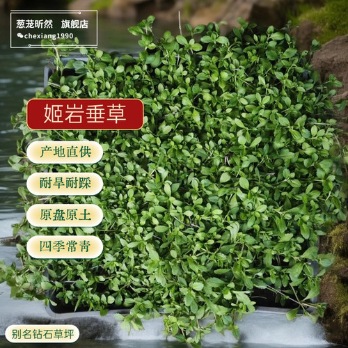 产地直供  原盘原土  新鲜到家