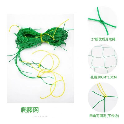 园艺农用种植物百香果葡萄瓜棚网黄瓜藤蔓攀藤网豆角尼龙网爬藤网