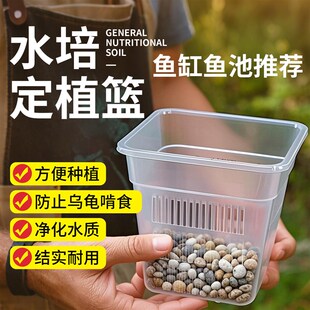 鱼缸水培定植篮龟缸水草水竹铜钱草植物固定水培器皿加深透气大号