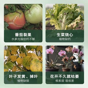 杜高*高力高 糖醇钙镁硼锌铁叶面肥中微量元素水溶肥料防裂果树肥