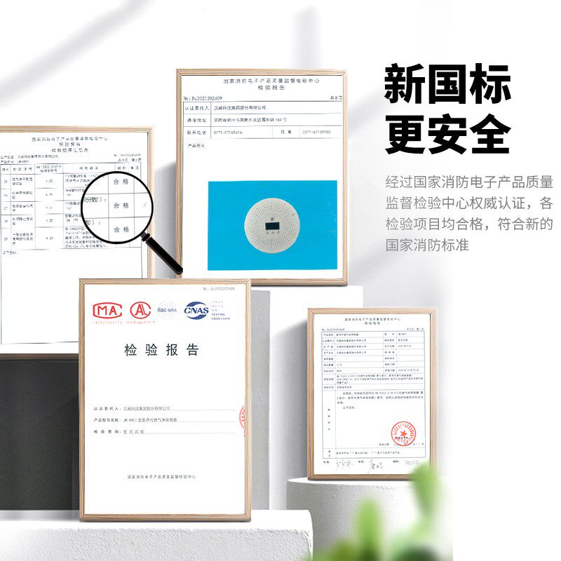 一氧化碳报警器家用全自动煤炉子泄漏室内煤烟气体警报器co检测仪