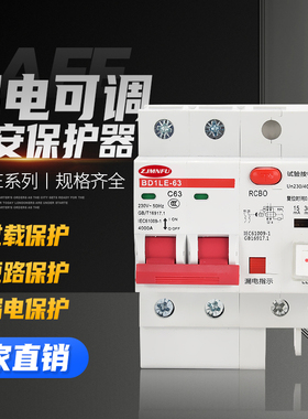 可调毫安漏电保护器32A 63A 工地二相220V家用15ma 30ma 空气开关
