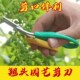 葡萄专用剪不锈钢翘头园艺剪刀蔬果稀果花艺树枝花椒采果橘子采摘