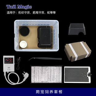 爬宠饲养箱豹纹肥尾R属睫角盖勾亚守宫蛇人渣盒套餐装爬虫瓦楞纸