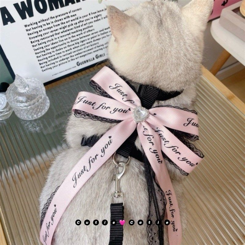 猫咪牵引绳外出防挣脱遛猫绳胸背带透气狗狗牵引绳小猫伴娘陪嫁服,宠物/宠物食品及用品,猫牵引绳,淘宝优惠券,粉丝福利购,淘宝优惠卷