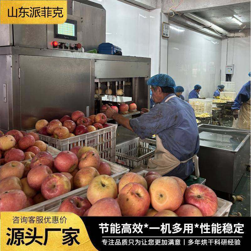 全自动苹果削皮去核机雪梨加工去皮捅芯分瓣一体机冻梨去皮机