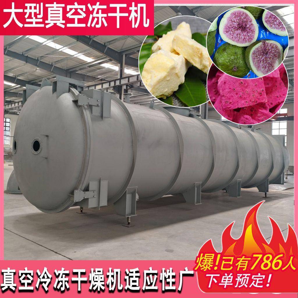 冻干咖啡粉设备真空水果草莓火龙果冻干机花茶片低温冷冻干燥机