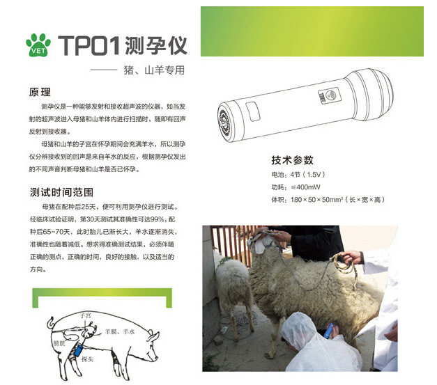 正品凯信兽用A超A超测孕仪山羊母猪测孕仪