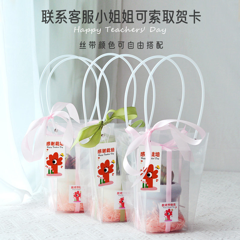 多肉植物室内盆栽伴手礼盒小众高级结婚满月回礼离职教师节礼物