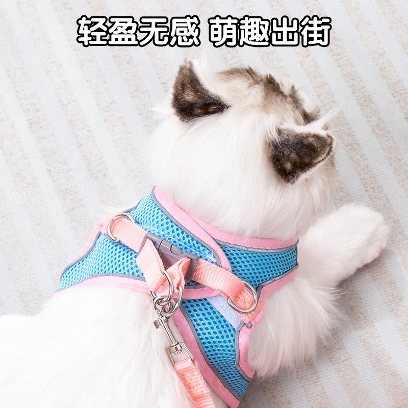 猫咪牵引绳防挣脱外出专用溜猫绳子幼猫背心式狗狗胸抱婴袋遛狗绳,宠物/宠物食品及用品,猫牵引绳,淘宝优惠券,粉丝福利购,淘宝优惠卷